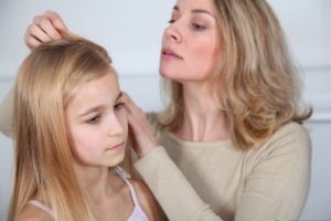 York County Head Lice Treatment