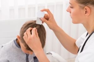 lice treatment york county