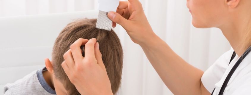 lice treatment york county